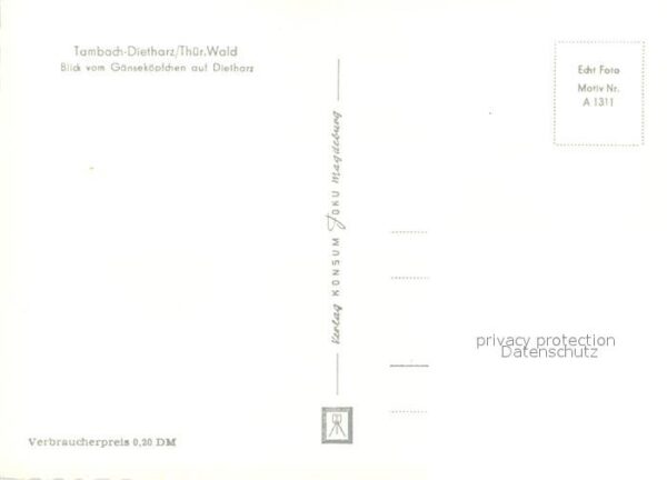 Tambach-Dietharz Gänseköpfchen Panorama – Bild 2