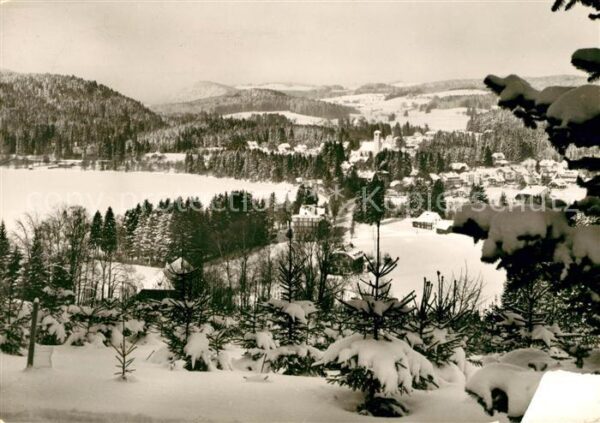 Titisee Winterlandschaft