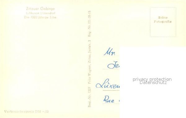 Lueckendorf 1500jährige Eibe – Bild 2