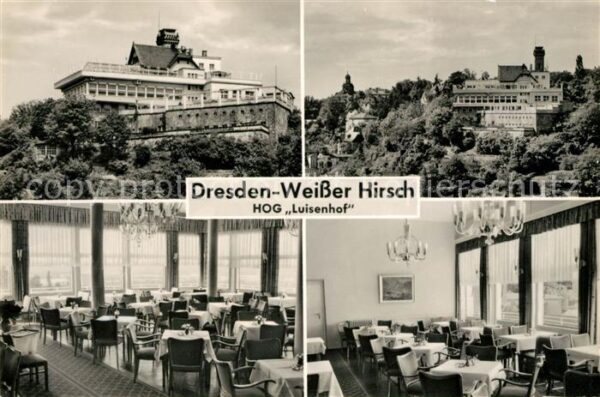 Dresden Weißer Hirsch HOG Luisenhof