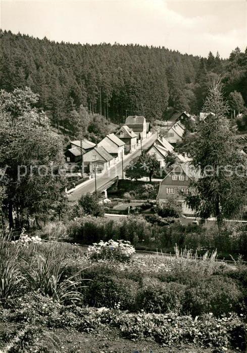 Tanne Harz Kurpark Waldstraße