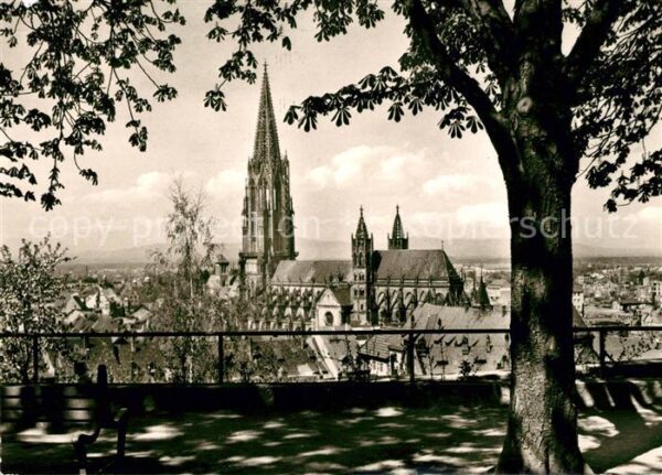 Freiburg Breisgau Münster Panorama