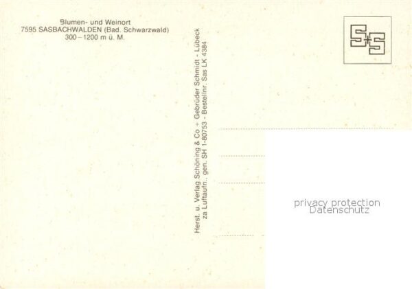 Sasbachwalden Fliegeraufnahme – Bild 2
