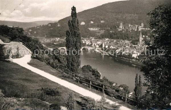 Heidelberg Neckar Blick vom Philosophengärtchen