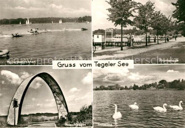 Tegel Tegeler See Motorbootrennen Promenade M