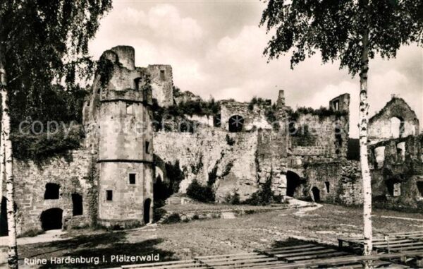 Hardenburg Burgruine