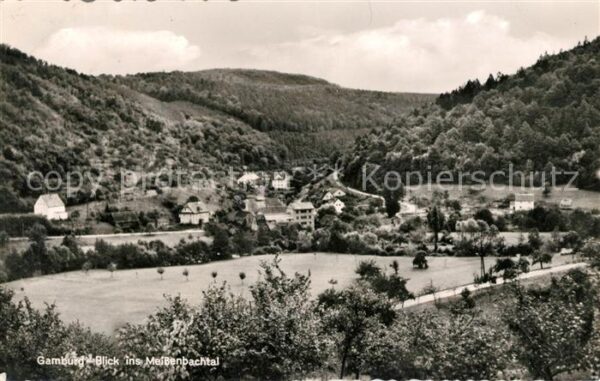 Gamburg Blick ins Meissenbachtal
