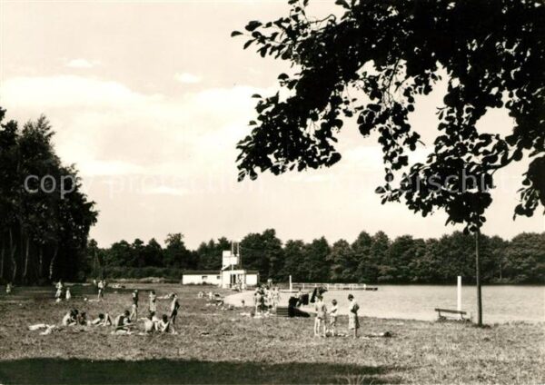 Freiberg Sachsen Waldbad Großer Teich