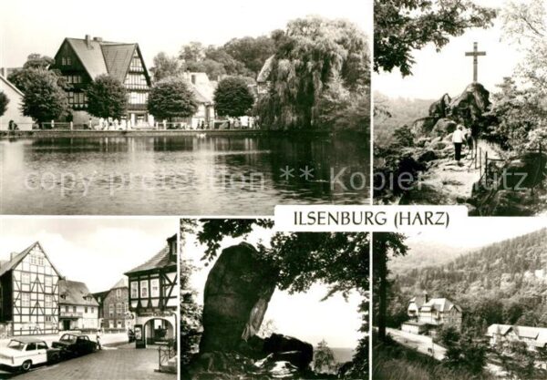 Ilsenburg Harz Forellenteich Ilsenstein Hüttenmuseum P