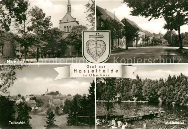Hasselfelde Marktplatz Waldfreibad Panorama