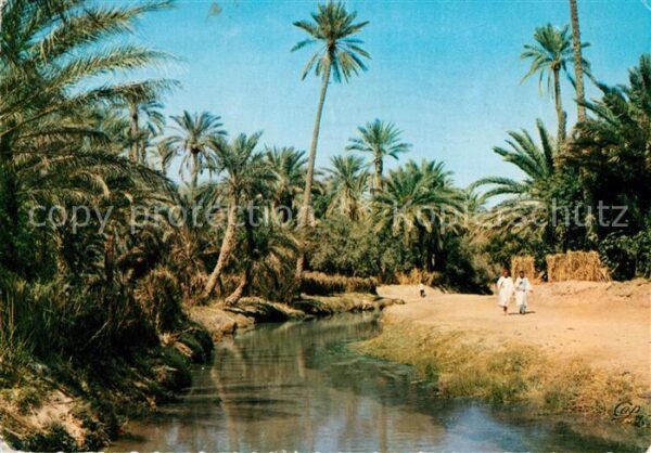 Tozeur Oued dans la Palmeraie