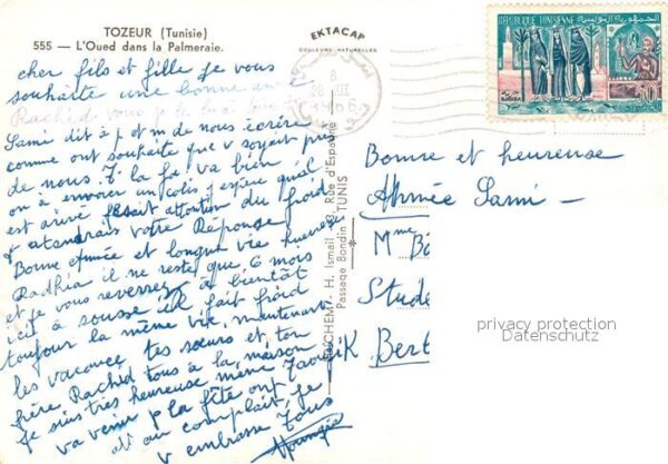 Tozeur Oued dans la Palmeraie – Bild 2