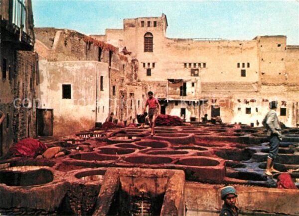 Fes Les Tanneries
