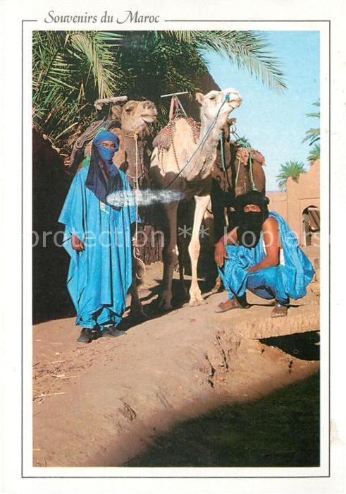 Zagora Maroc Caravane dans l'oasis
