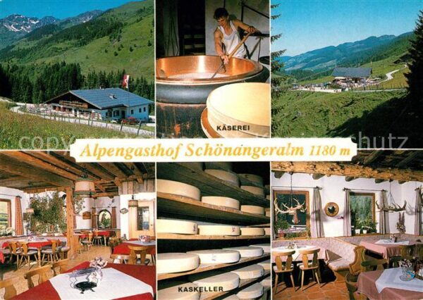 Wildschoenau Tirol Alpengasthof Schönangeralm