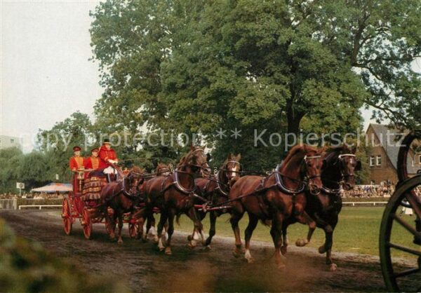 Pferdekutschen Hengstparade Celle
