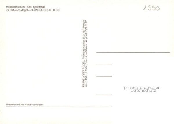 Schafe Heidschnucken Alter Schafstall Lüneburg – Bild 2