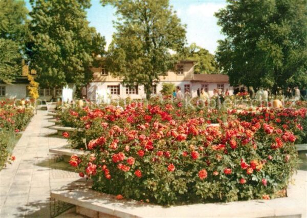 Gartenbauaustellung Erfurt Rosengarten