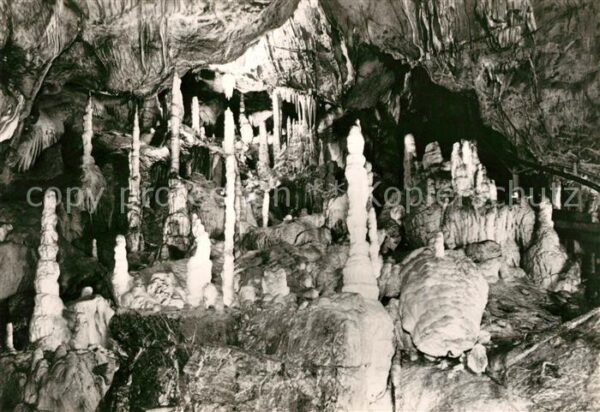Hoehlen Caves Grottes Baumannshöhle Säulenhalle Rübeland