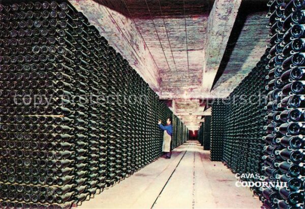 Cavas Codorniu Botellas envejeciendo