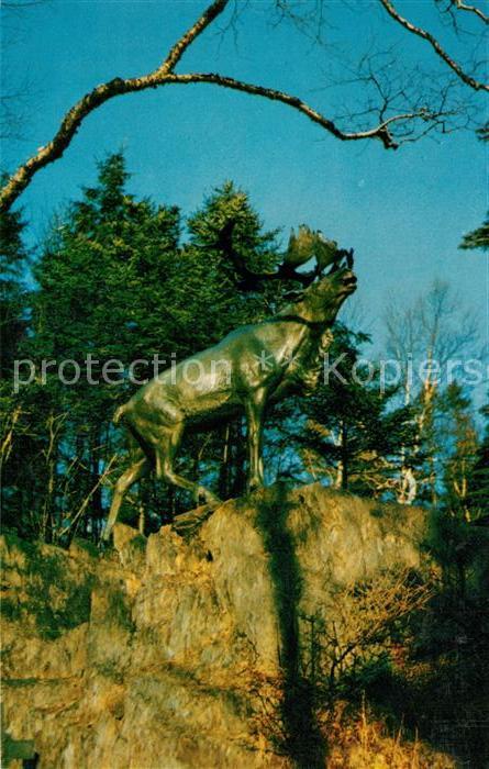 St Johns Newfoundland and Labrador The Caribou Bowring Park