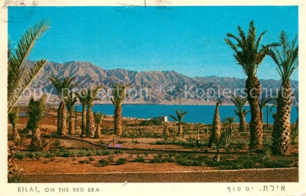 Eilat Eilath Israel on the Red Sea