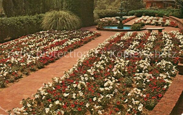 Concord North Carolina Memorial Garden First Presbyterian Chur