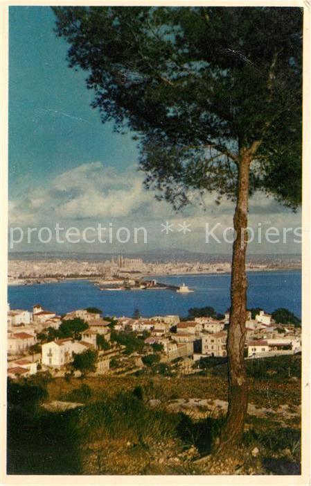 Mallorca Palma desde la Bonanovo