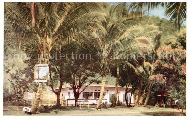 Cairns Australia Coral Tea Gardens Ellis Beach Cook High