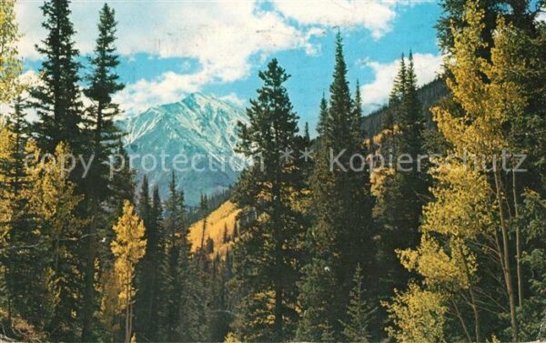 Denver Colorado Torreys Peak