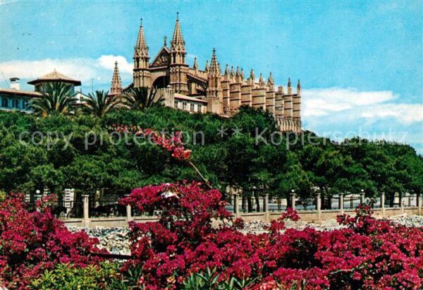 Palma de Mallorca Catedral desde el desembarcadero