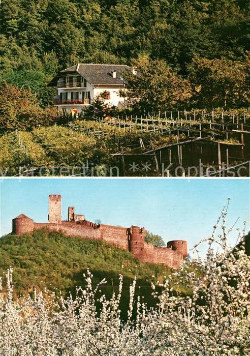 Frangart Frangarto Garni Hotel Etschblick Baumblüte Burgru