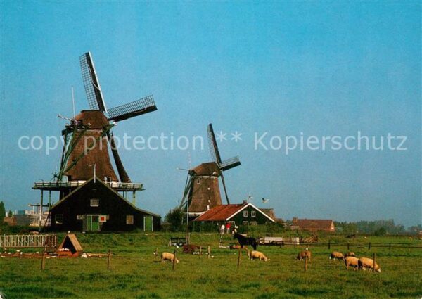 Zaandam Molen
