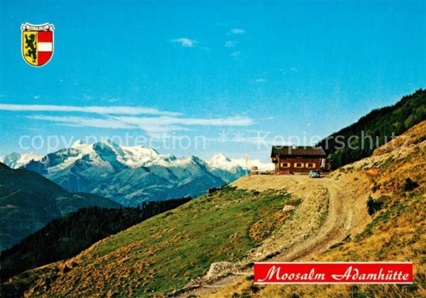 Taxenbach Moosalm Adamhütte Alpenpanorama Wappen