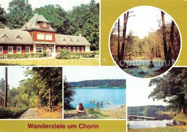 Chorin Jugendherberge Wasserloch Plagefenn Wal