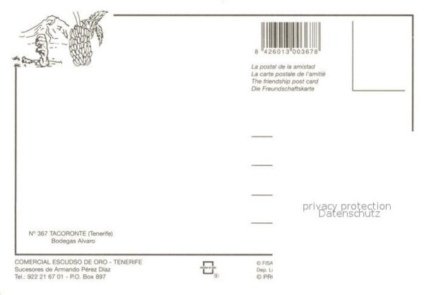 Tacoronte Bodegas Alvaro – Bild 2