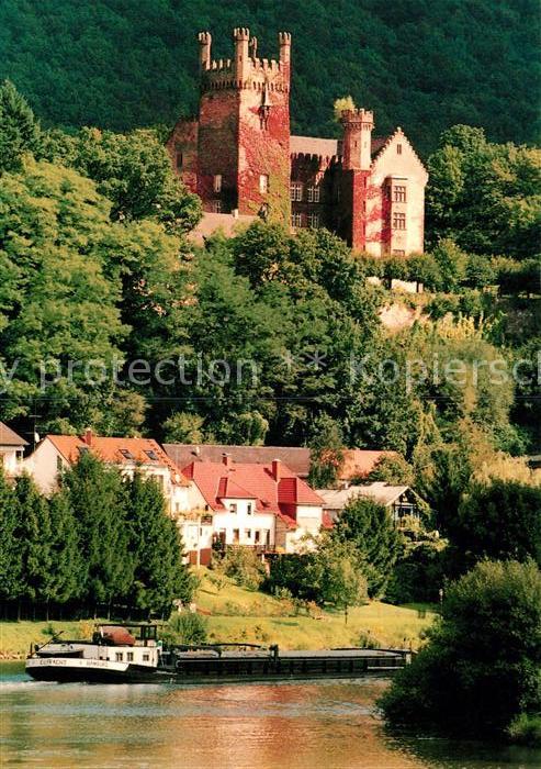 Neckarsteinach Hinterburg