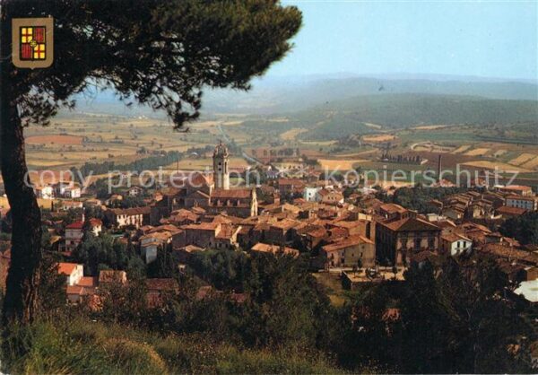 Moia Panorama