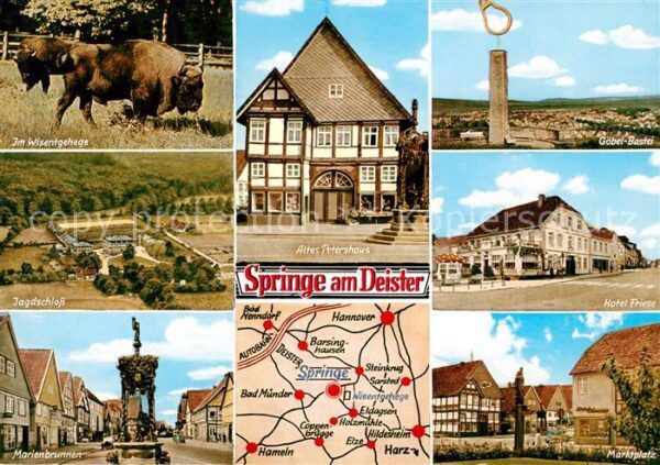 Springe Deister Wisente Jagdschloss Marienbrunnen Altes