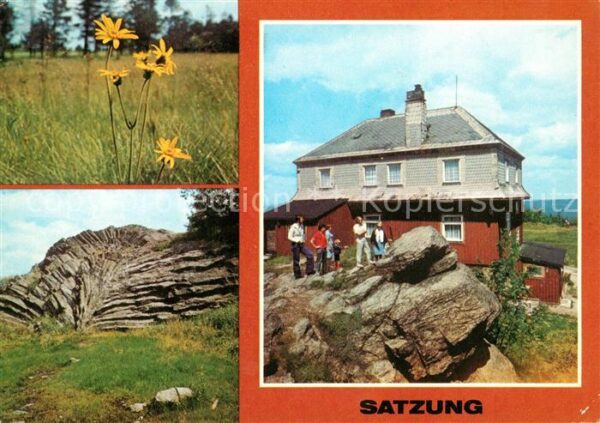 Satzung Arnika Nephelinbasalt Fächer Fächer im