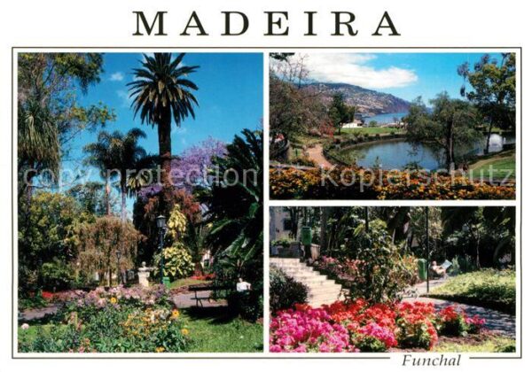 Madeira Portugal Funchal