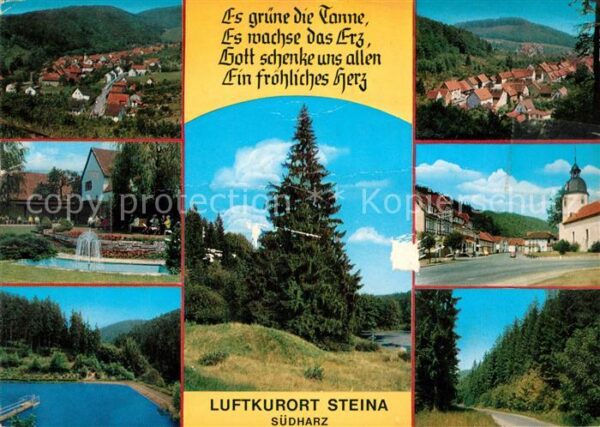 Steina Suedharz