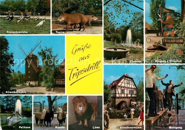 Tripsdrill Cleebronn Kronenkraniche Trillarium Altmännermühl
