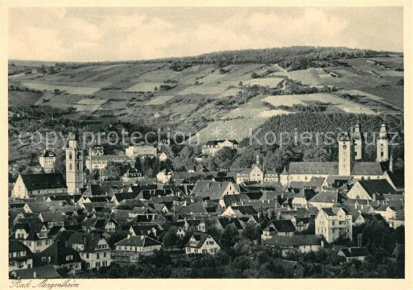 Mergentheim Bad Panorama