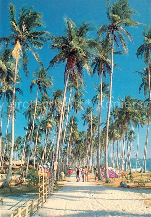 Boracay Road along the beach Palm trees