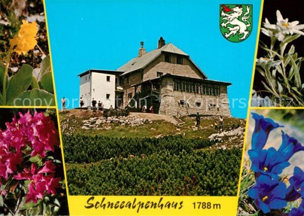 Kapellen Steiermark Schneealpenhaus Alpenflora Enzian Edelw