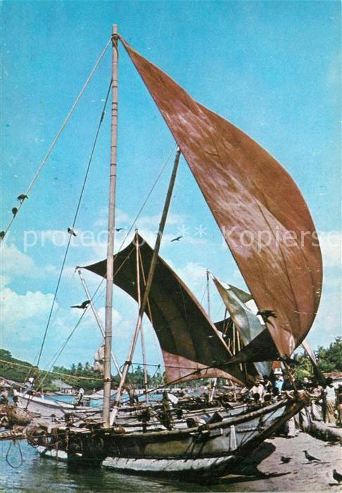 Negombo Catamarans after a day's catch