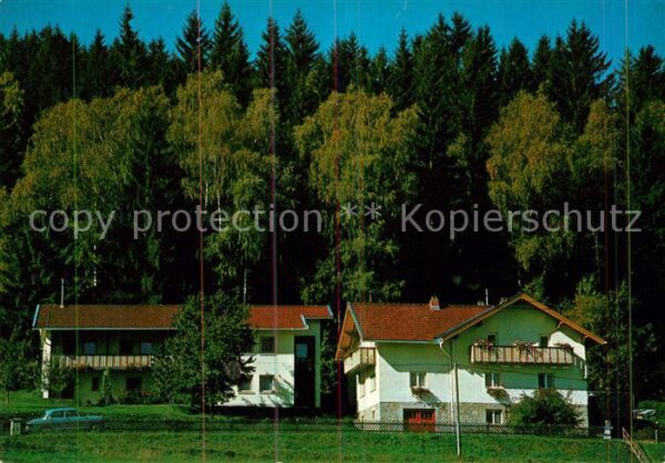 Zwieselberg Bayern Pension Waldcafe Bollner Bayerischer Wa