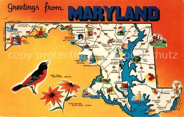 Maryland Line Panoramakarte