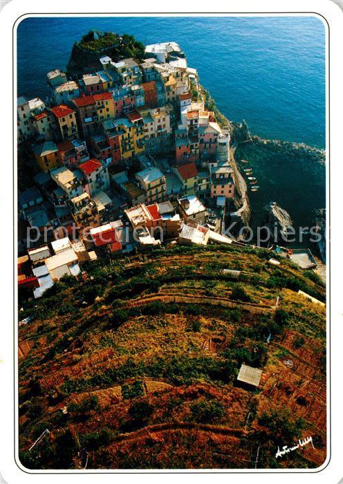 Manarola Veduta Aerea